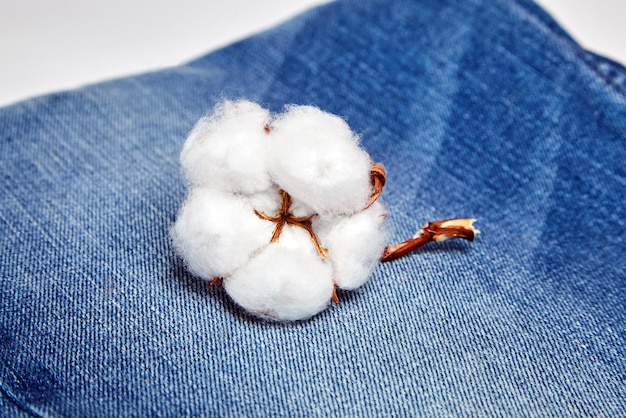 Photo une fleur de coton blanche sur un jean bleu