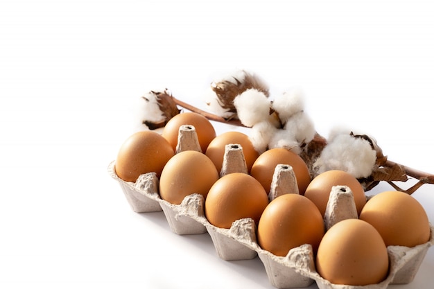 Fleur de coton avec des œufs sur fond blanc. Joyeuses Pâques.