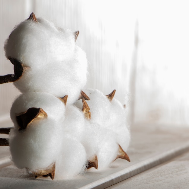 Fleur de coton sur table en bois blanc