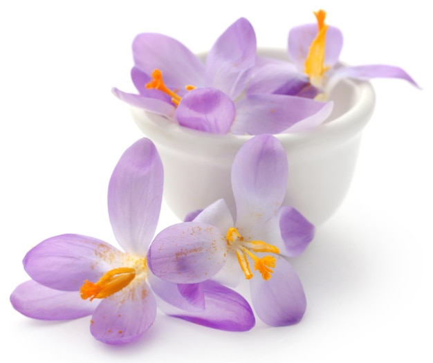 Fleur de crocus au safran dans un bol sur fond blanc