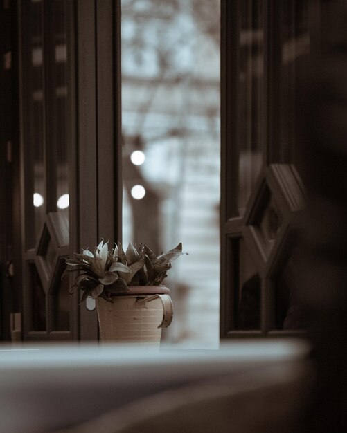 Une fleur dans un café