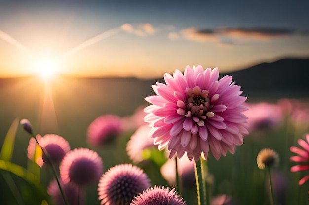 Une fleur dans un champ avec le soleil couchant derrière elle