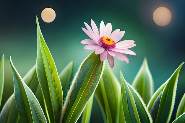 Une fleur dans un champ vert avec des lumières derrière elle