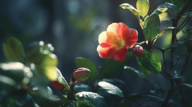 Une fleur dans le noir