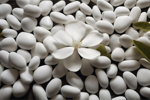 Photo une fleur dans un tas de cailloux blancs