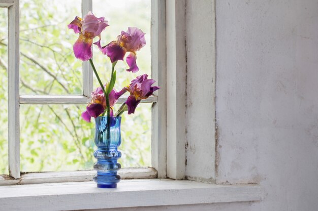 Fleur dans un vase bleu sur le rebord de la fenêtre