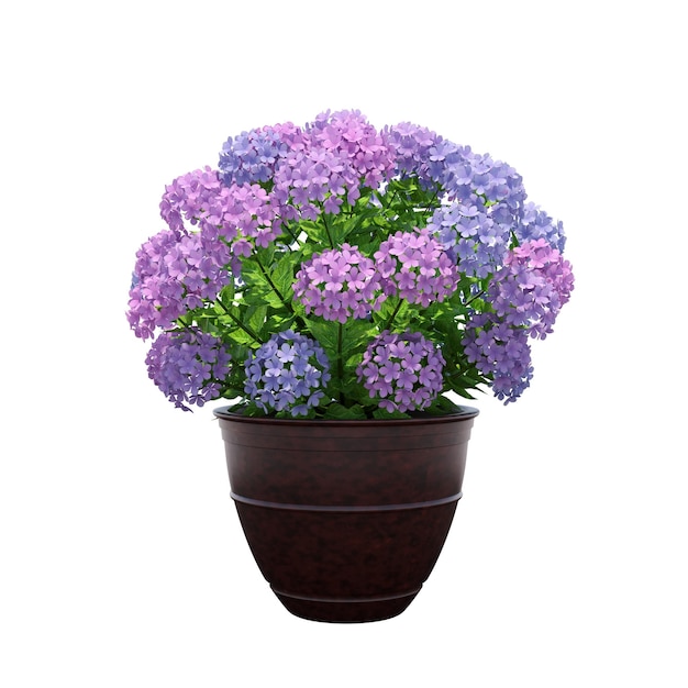 fleur décorative dans un pot isolé sur fond blanc, illustration 3D, rendu cg