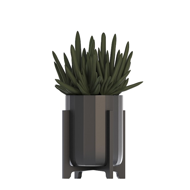 Fleur décorative dans un pot isolé sur fond blanc rendu 3D illustration cg