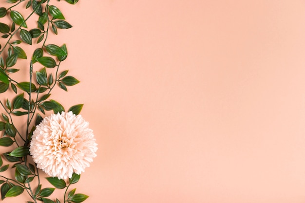 Fleur épanouie avec feuillage