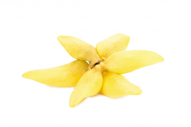 Fleur d&#39;escalade ylang-ylang, escalade ilang-ilang, manorangini, hara-champa kantali champa