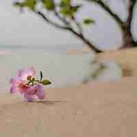 Photo une fleur est sur le sable près de l'eau