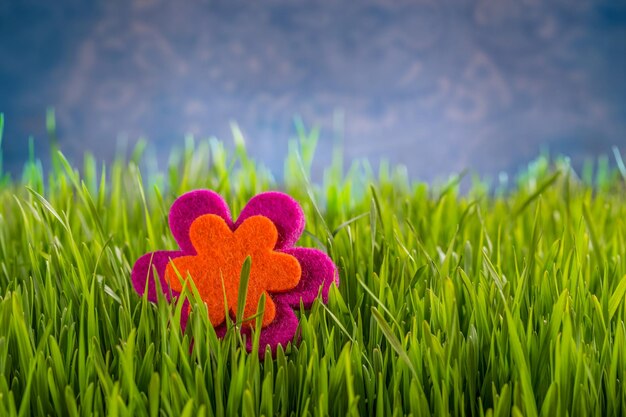 Fleur en feutre