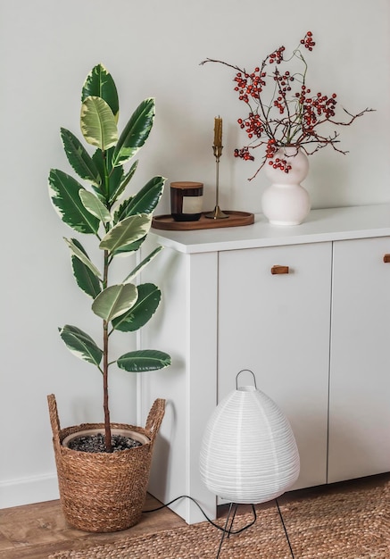 Fleur de ficus dans un panier de tiroirs en bois blanc avec une lampe électrique en papier de décoration dans l'intérieur du salon