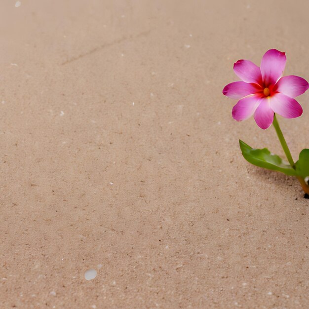 une fleur avec une fleur pourpre dans le sable