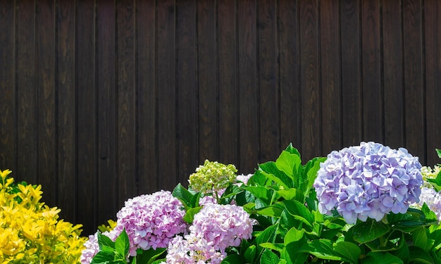 Fleur sur fond de bois Floral contre planche de bois avec espace de copie pour carte de conception de mariage romantique ou modèle d'amour