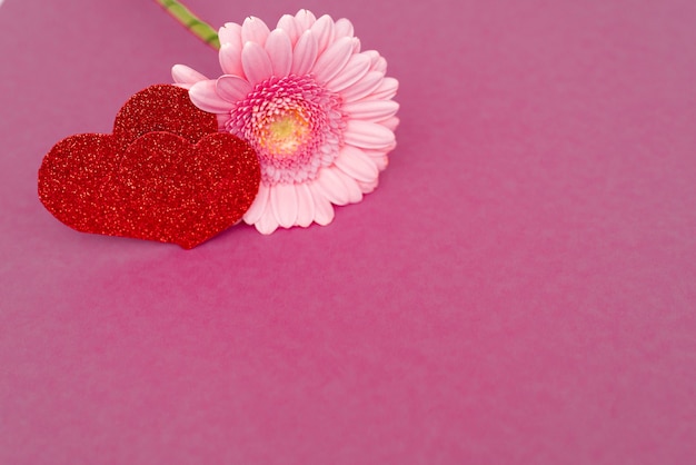 Fleur de gerbera rose doux pour fond romantique d'amour avec coeur. Mise au point sélective douce. Copiez l'espace.