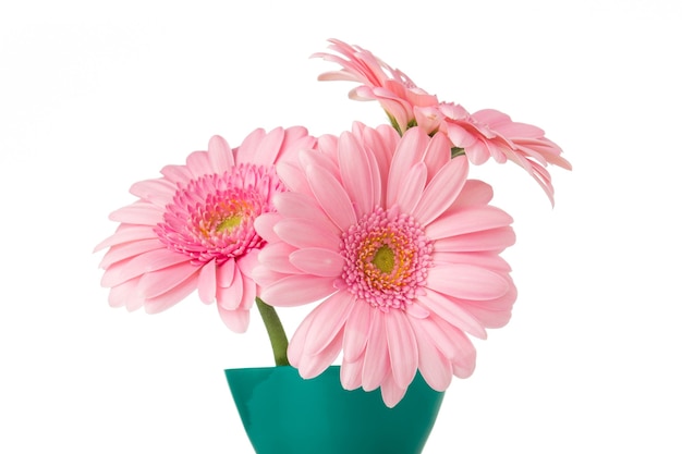 Fleur de Gerbera sur le vase, surface blanche isolée.