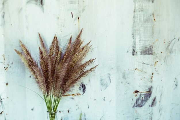 fleur d&#39;herbe sur la bouteille et le mur en métal