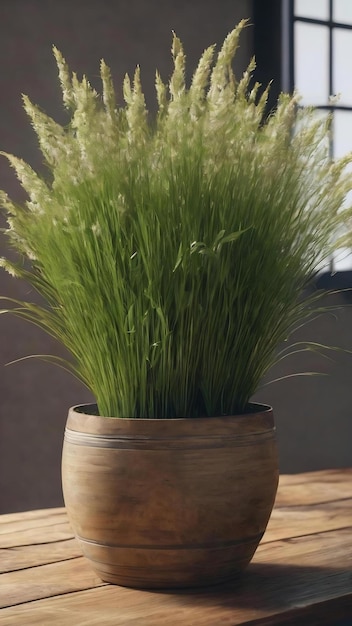 Une fleur d'herbe en pot sur une table en bois