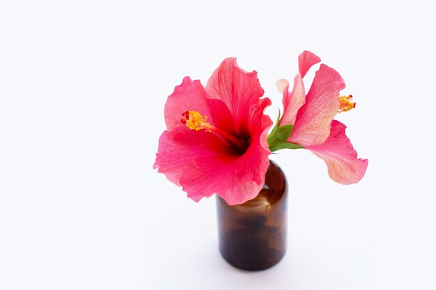 Fleur d'hibiscus en bouteille marron sur fond blanc