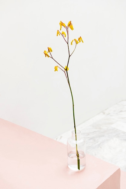 Fleur jaune dans un vase en verre à un escalier rose