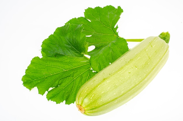 Fleur jaune et feuilles de courgettes vertes sur fond blanc. Studio photo.