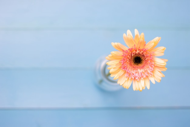 Fleur jaune sur un fond en bois bleu clair avec des pétales. Été plat poser.