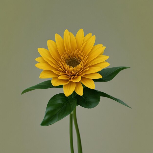 Une fleur jaune sur un fond vert