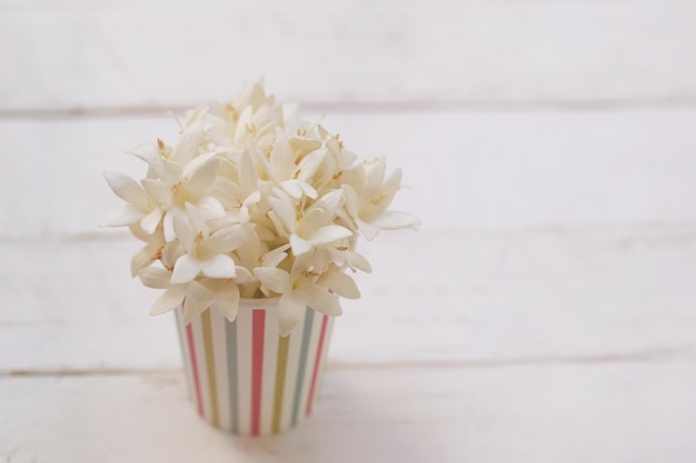 La fleur de Kasalong ou la fleur de Millingtonia hortensis fleurit dans une tasse en papier