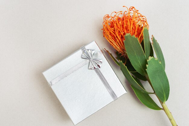 Fleur de Leucospermum et boîte cadeau en argent sur une surface en papier clair