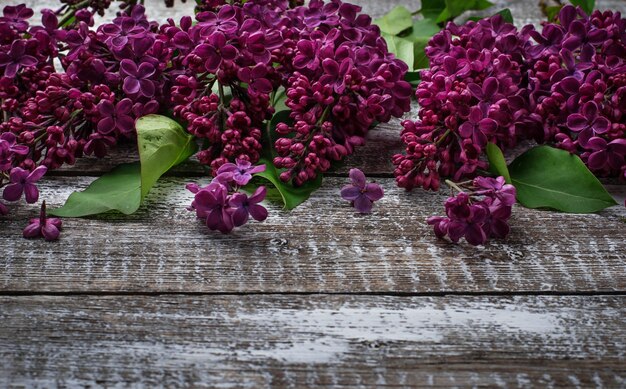 Fleur lilas sur un fond en bois