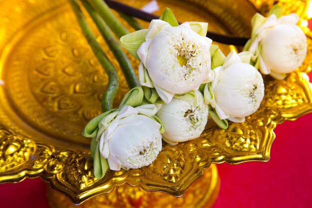 Fleur de lotus dans le temple thaïlandais en Thaïlande