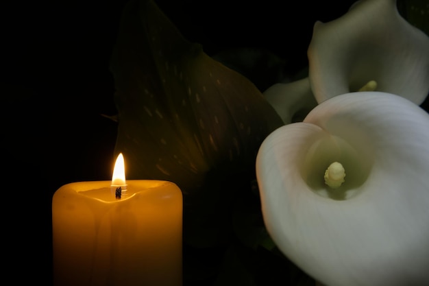 Une fleur de lys blanc à côté d'une flamme de bougie brûlante projette une lumière chaude dans un environnement sombre.