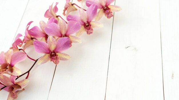 Fleur d&#39;orchidée pourpre sur une table en bois blanche.