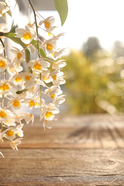 Fleur d'orchidée sauvage blanche verticale se bouchent avec une surface de table en bois