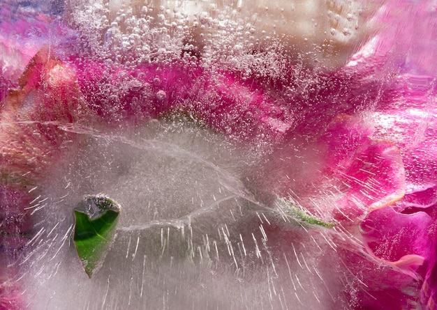 Photo fleur de pivoine rose dans un glaçon avec des bulles d'air.