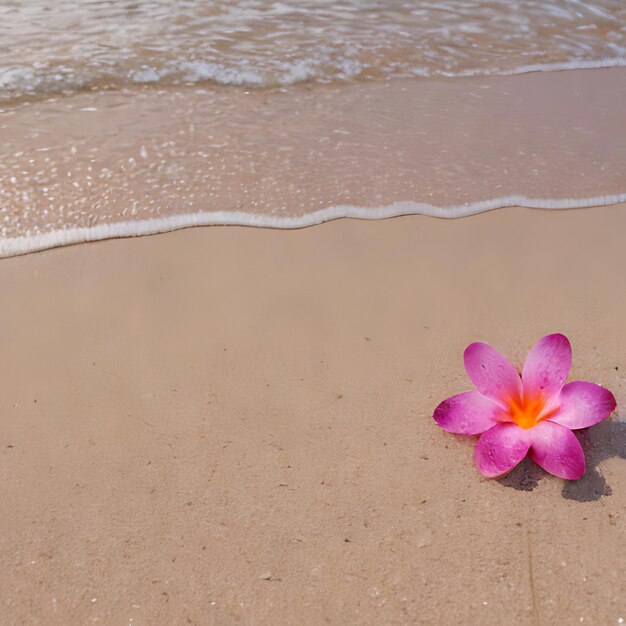 Photo une fleur sur la plage dans le sable