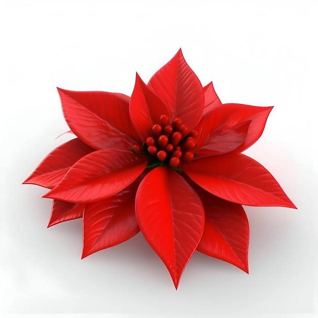 Photo fleur de poinsettia isolé sur fond blanc rendu 3d