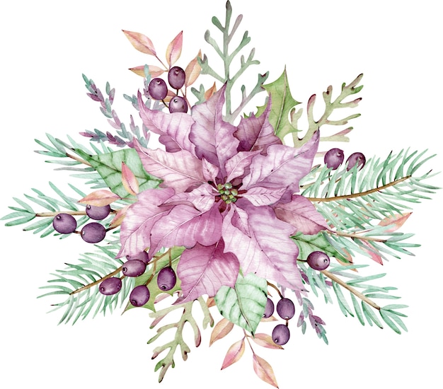 Fleur De Poinsettia Rose Aquarelle Avec Des Feuilles Vertes, Des Branches De Pin Et Des Baies. Composition De Noël. Carte Florale Du Nouvel An. Illustration Dessinée à La Main Isolée Sur Fond Blanc.