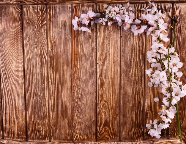 Fleur de printemps sur fond de bois vue de dessus