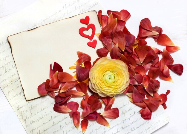 Fleur de renoncule jaune et pétales rouges avec copie papier brûlé vue de dessus sur table en bois blanc