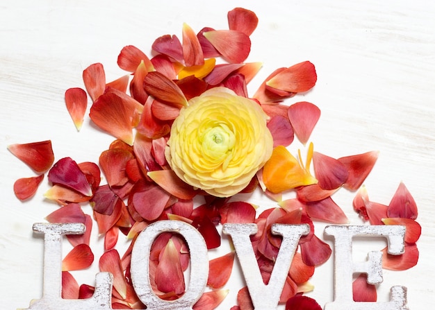 Fleur de renoncule jaune et pétales rouges avec texte LOVE vue de dessus sur une table en bois blanc