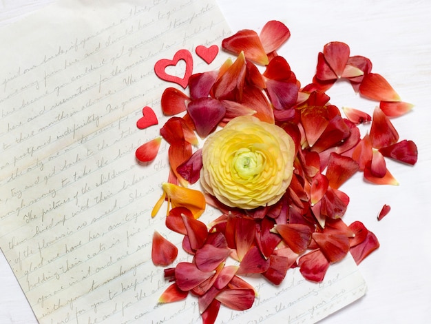 Fleur de renoncule jaune et pétales rouges avec de vieilles lettres manuscrites copie espace vue de dessus sur une table en bois blanc