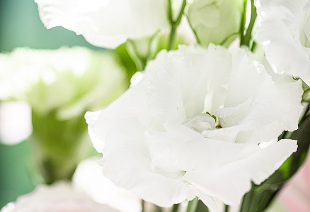 Fleur rose dans une beauté florale de jardin et fond botanique pour l'invitation de mariage et le concept de nature et d'environnement de carte de voeux