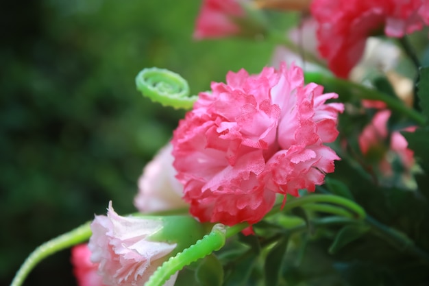 Fleur rose dans le jardin