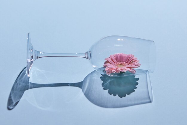 Fleur rose dans un verre sur un concept de printemps de fond bleu