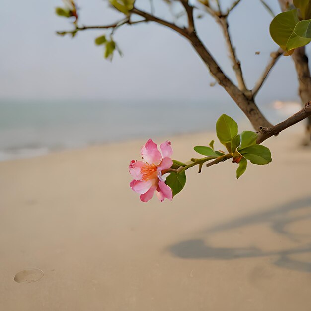 une fleur rose est sur une branche dans le sable
