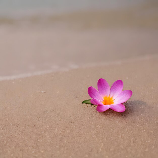 Photo une fleur rose est sur la plage et l'eau est sur le point de tomber