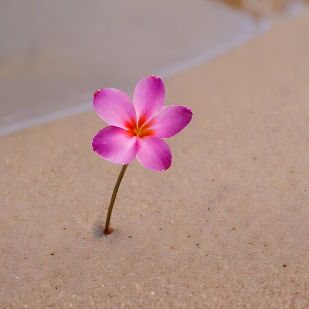 Photo une fleur rose avec une fleur rose au milieu.