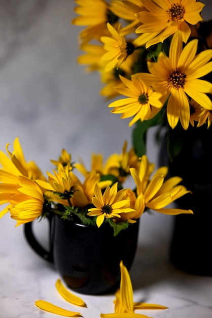 Fleur de rose jaune dans le jardin d'été Roses jaunes avec une faible profondeur de champ Belle rose au soleil Rose de jardin jaune sur un buisson dans un jardin d'été Buisson de fleurs